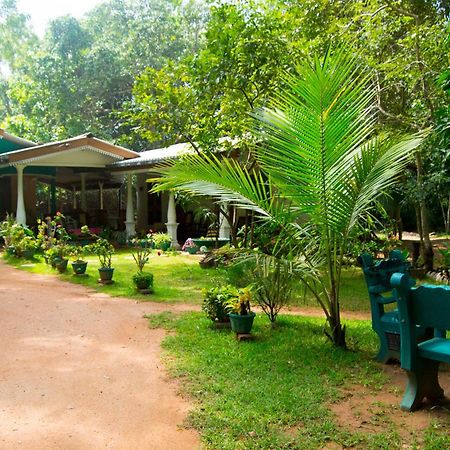 Sigiri Lodge Szigirija Kültér fotó